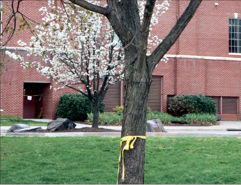 yellow ribbon