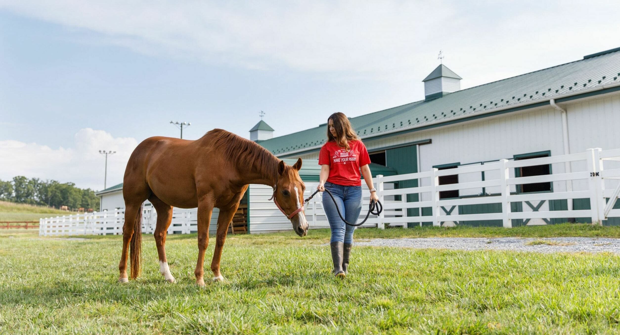 Work for the Equestrian Center