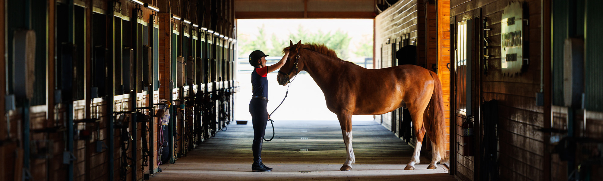 Liberty Mountain Equestrian Center