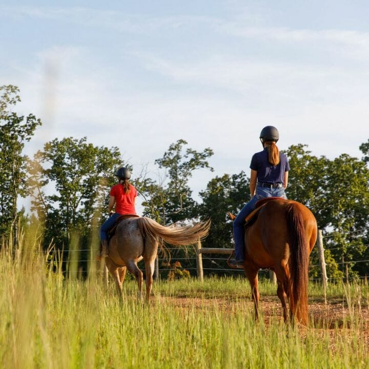 Equestrian Center Campus Recreation Liberty University