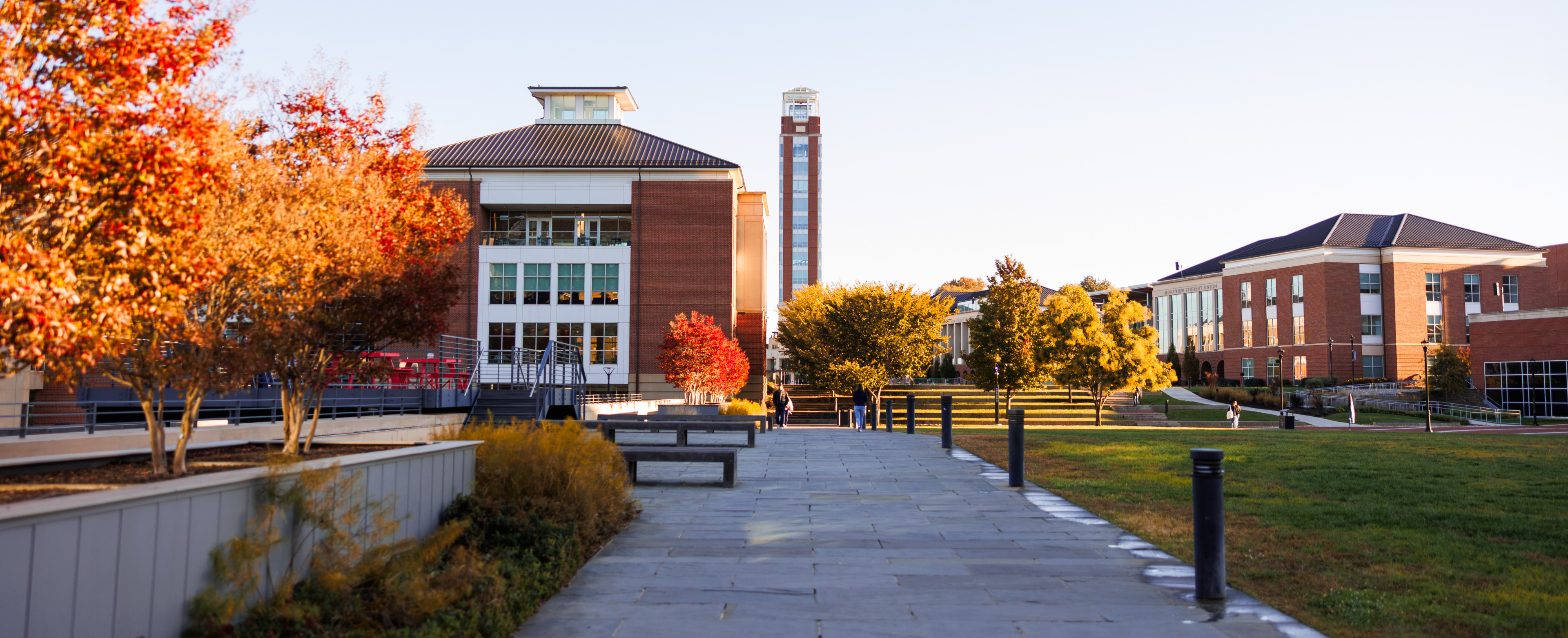 A paved walkway leads through a campus with autumn-colored trees and brick buildings under a clear sky.