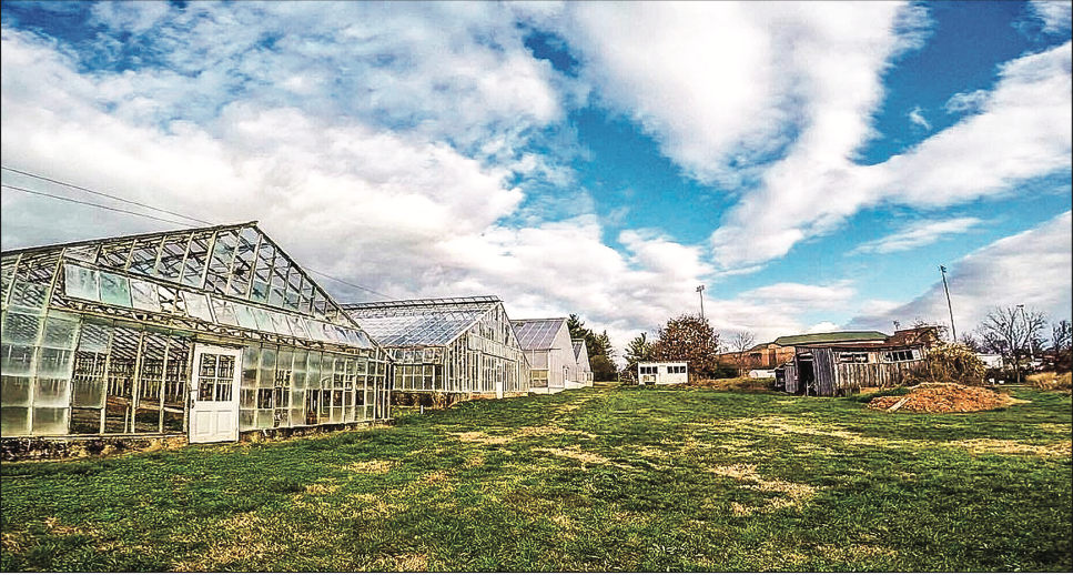 GROWTH — Lynchburg Grows uses both its new and historic greenhouses to grow a variety of produce. Photo provided.