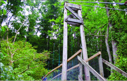 Rising high — Several different bridges are featured on Blackwater Creek Bikeway. Photo credit: Courtney Russo