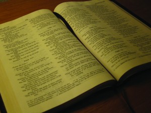 Bible Study