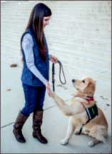 Trick — Denton shakes Rollins paw. Photo credit: Michela Diddle