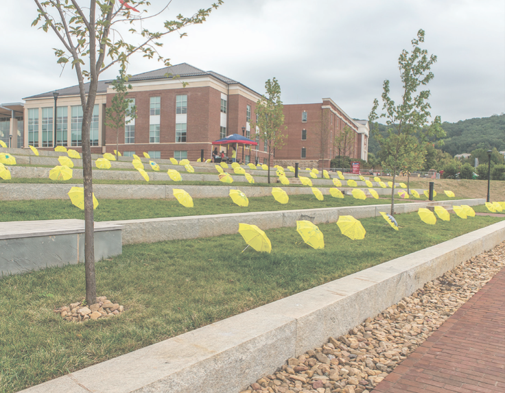 DISPLAY — Yellow umbrellas were lined up to create an eye-catching display for RAINN Day. Photo credit: Caroline Sellers