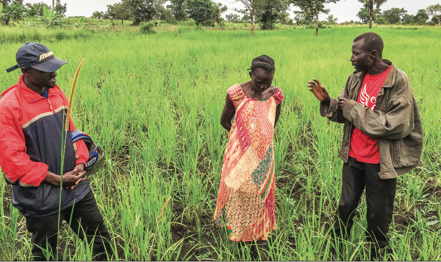PROBLEM-SOLVE — Microloans provided by Brentwood Church help residents in Uganda tackle problems they face in expanding their agriculture industry. Photo credit: Terrell lanier