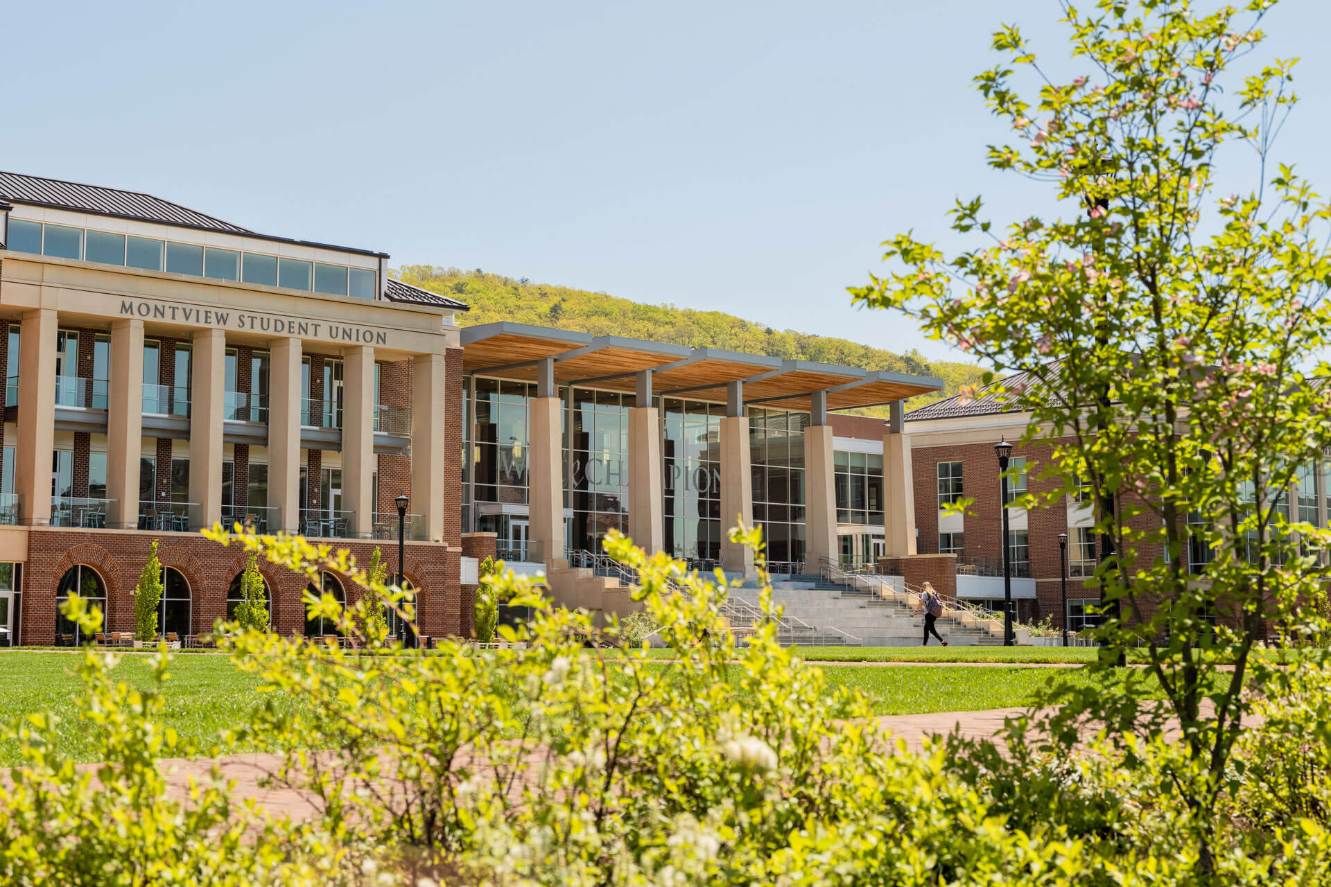 Coronavirus | Liberty University - Vimarsana News