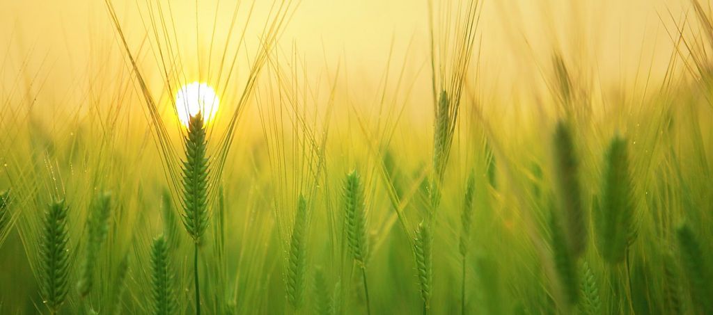 Redemption Part Two in Foundations of Faith Series
