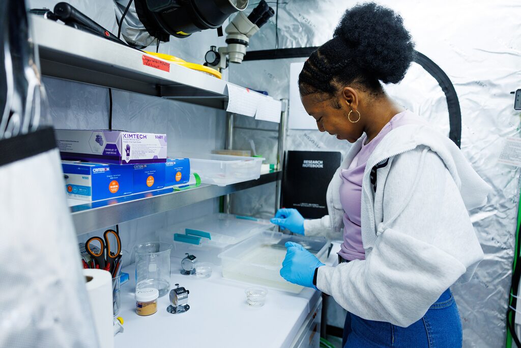 A researcher in a lab setting handles materials with gloved hands while working inside a sterile, reflective-topped containment unit.