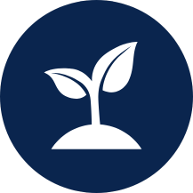 Opportunity and Enrichment Icon