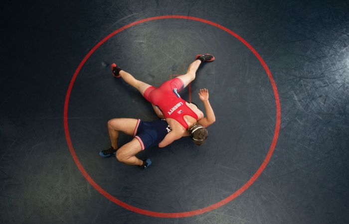 Several Liberty University athletics teams tested their mettle against the best programs in the country when they vied for national championships last season.