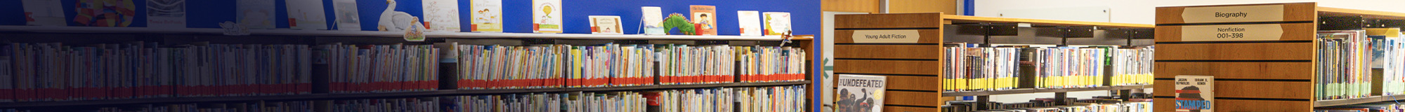 Curriculum Library