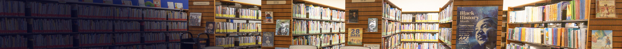 Curriculum Library
