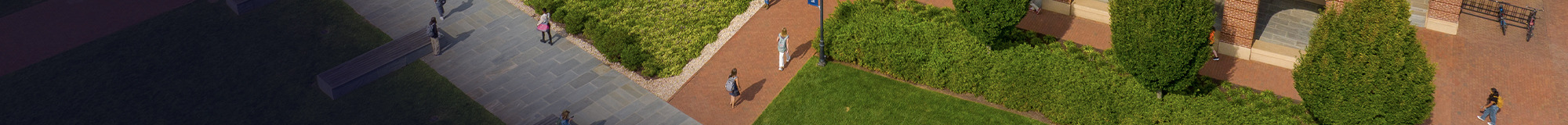 Library sidewalk