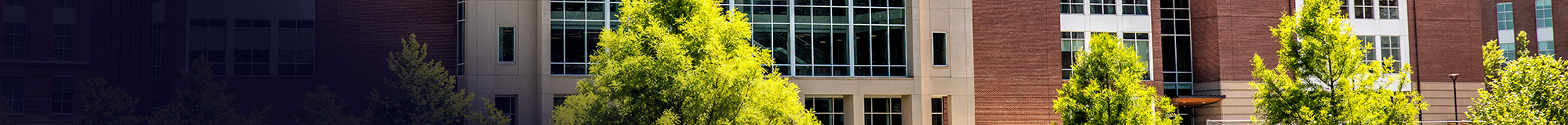 Photo of trees outside the library