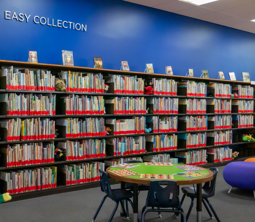 Photo of Curriculum Library