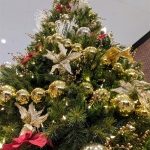 Christmas Tree Image