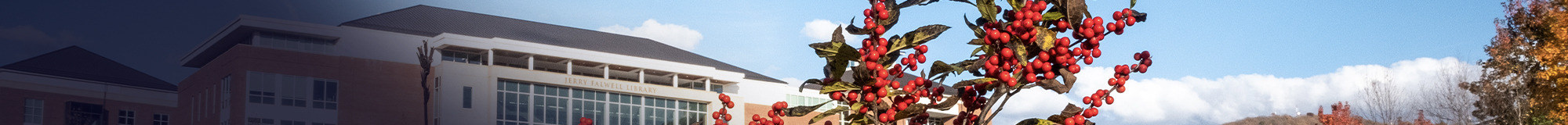 Library exterior