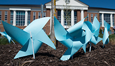 LUCOM-ACOP Pinwheels