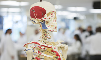 Anatomy Lab, Liberty University College of Osteopathic Medicine