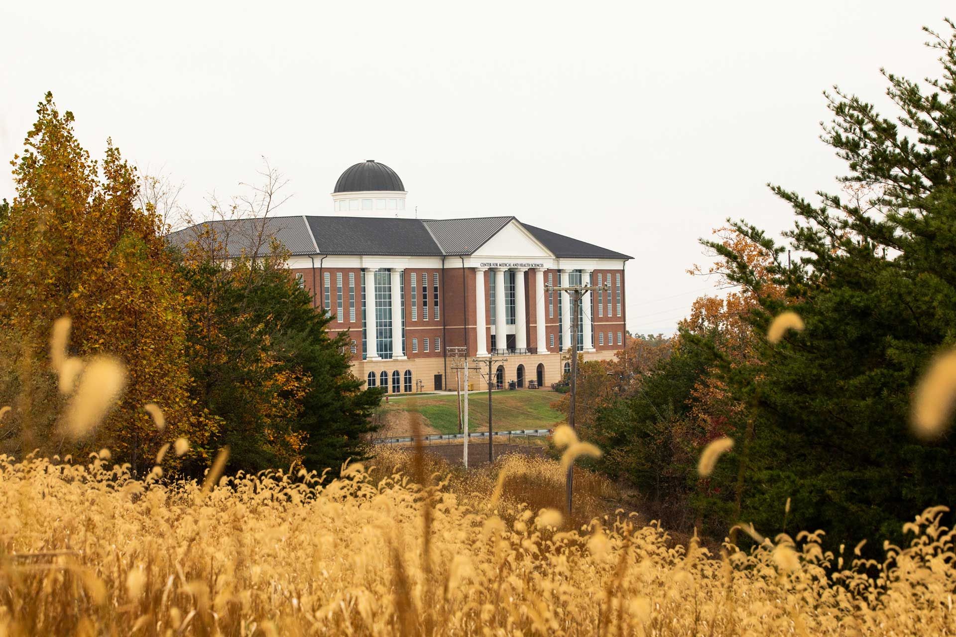 Liberty University College of Osteopathic Medicine