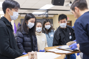 High school students examine a human brain inside Liberty University's anatomical science lab.