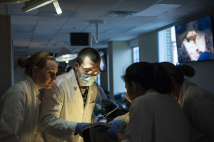 LUCOM student-doctors partner together for anatomical dissection.