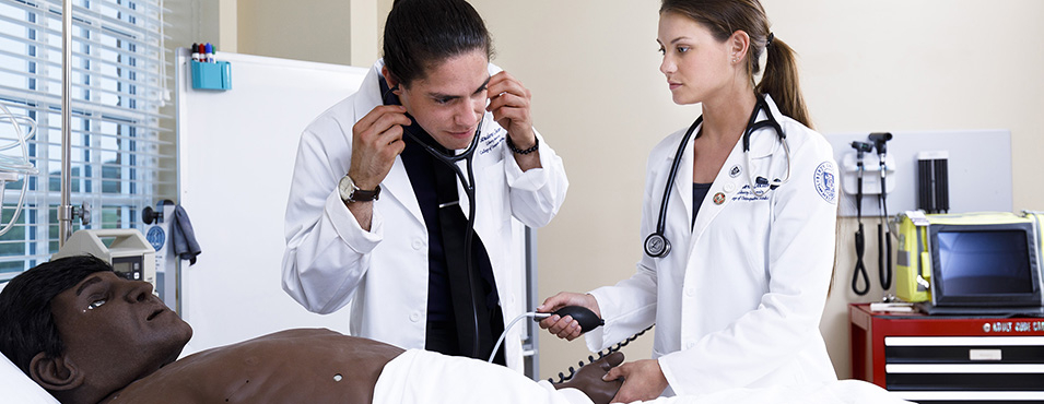 Liberty osteopathic medical students check the pulse of a male high-fidelity simulator.