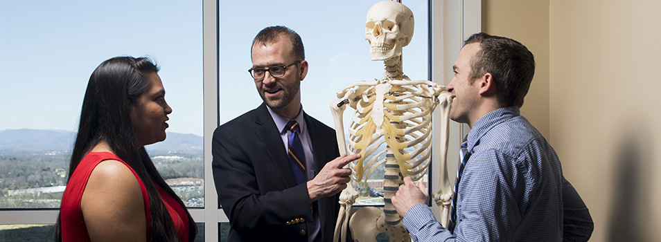 Jason E. Wells, PhD, highlights areas of the human skeletal system.