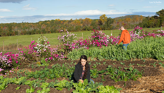 Students harvest crops from Liberty's Campus Garden