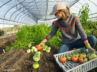 Students work in one of the tunnels at Liberty's Campus Garden.