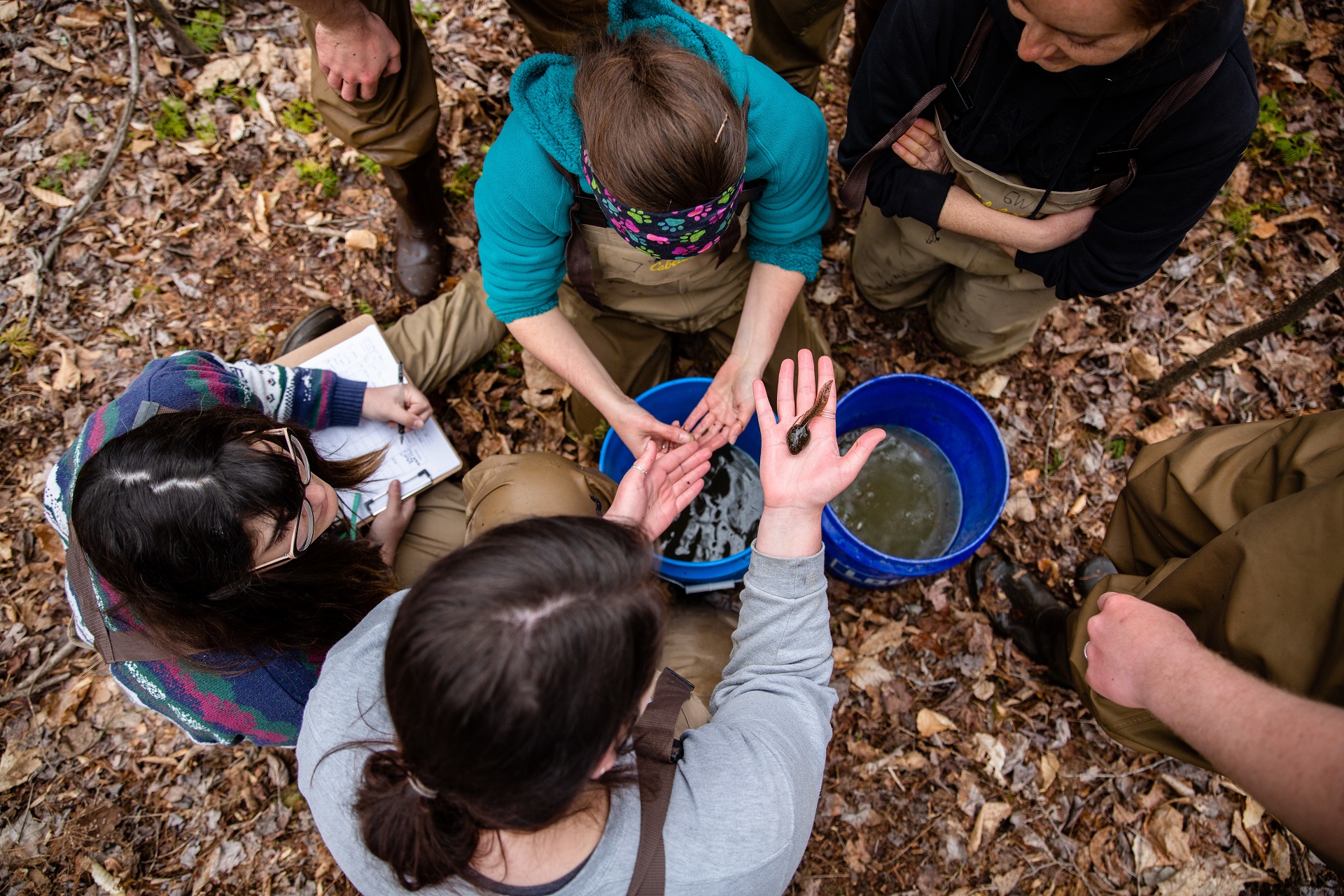 BS In Biomedical Sciences In Global Studies At Liberty University