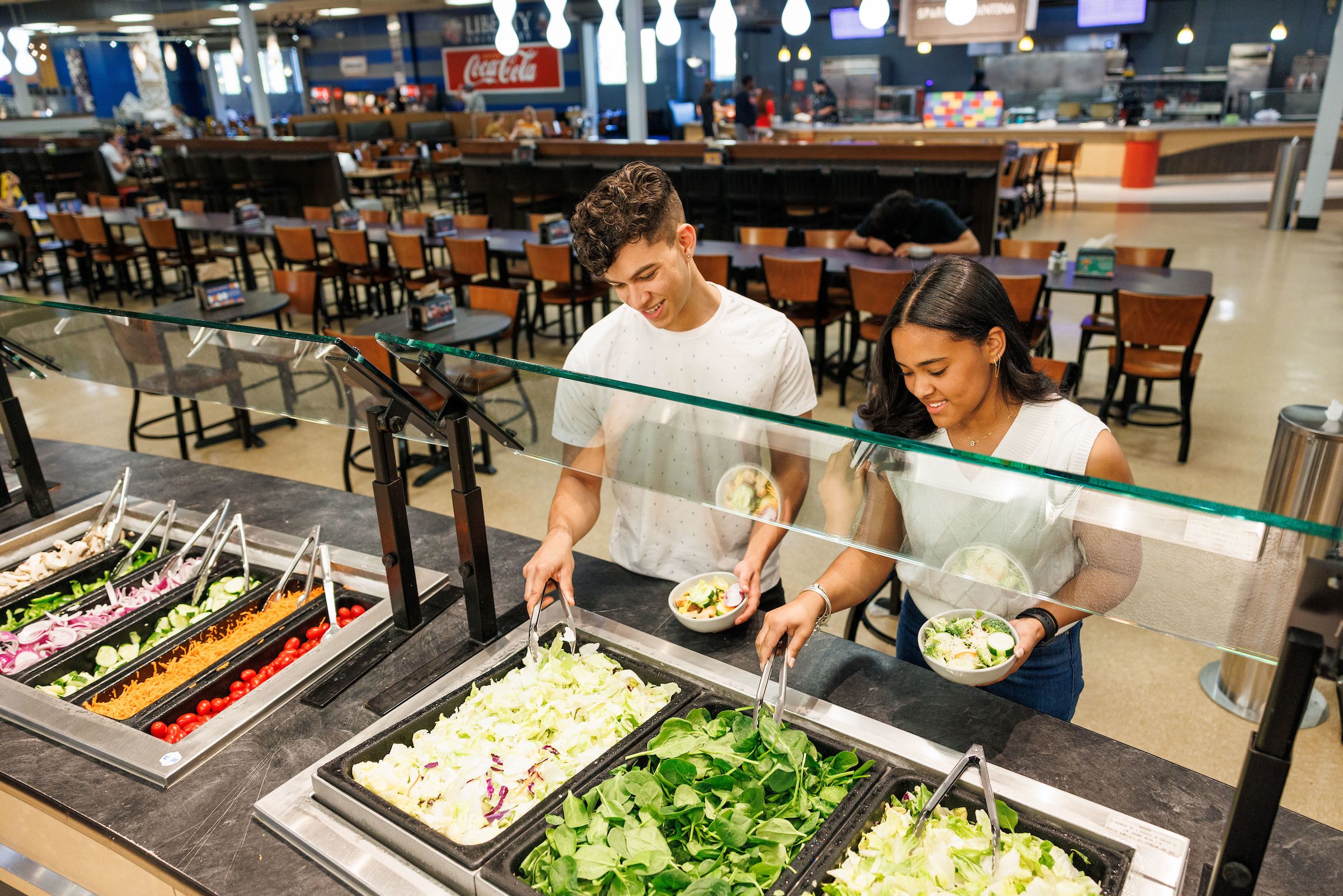 Masters In Nutrition Online 2