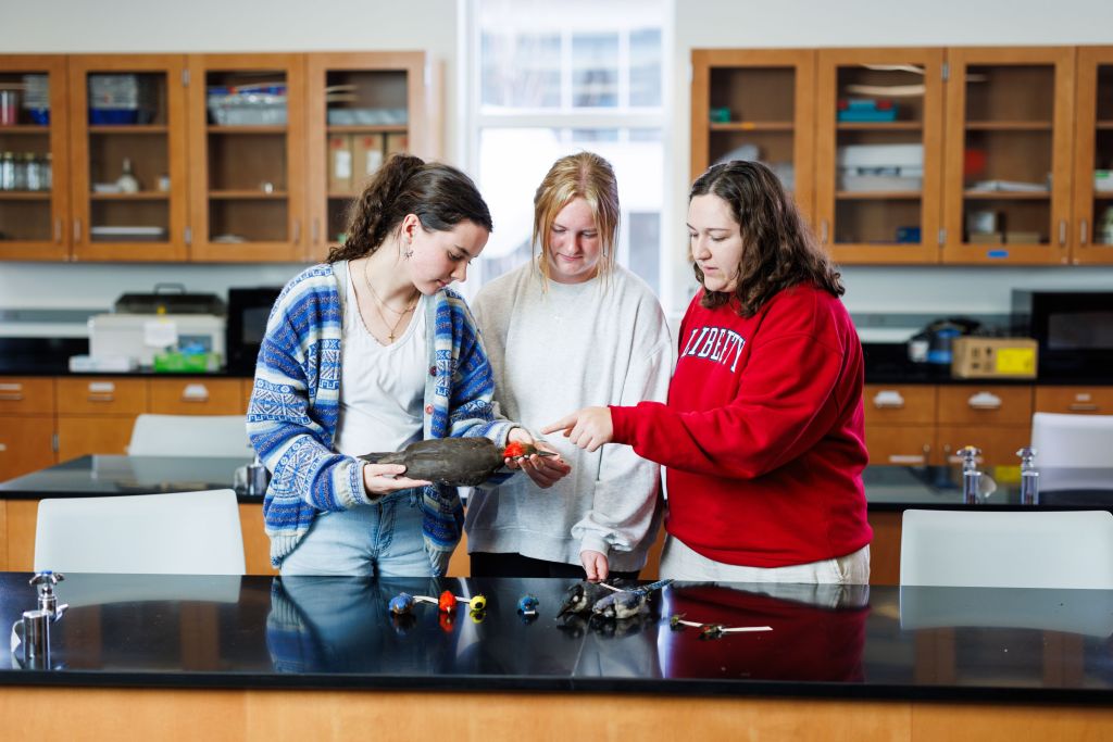 B.Ed. Biology Education (6 12)