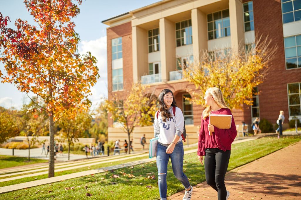 BS In Interdisciplinary Studies