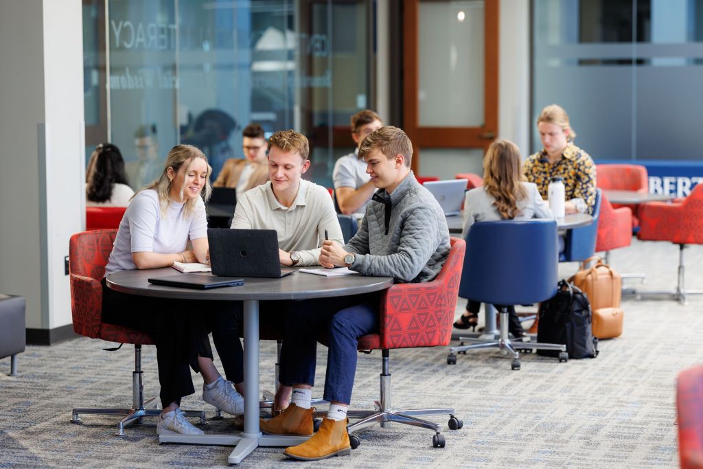 Bachelor's In International Business