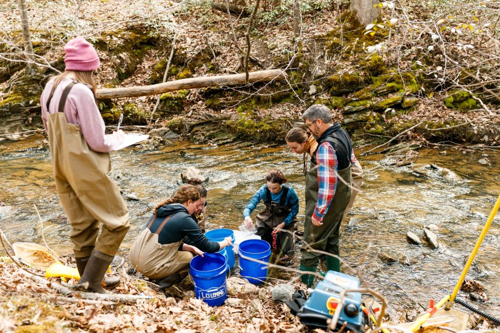 Conservation And Environmental Biology Degree