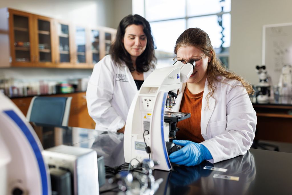 Doctoral Anatomy And Cell Biology Degree