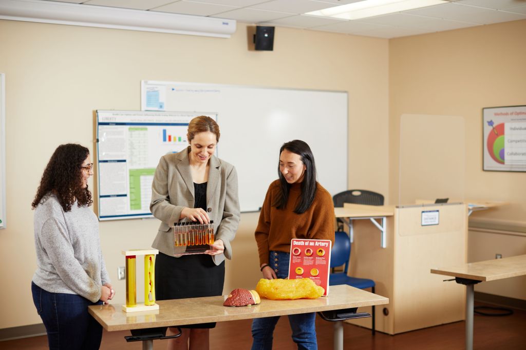 Doctorate In Public Health Degree