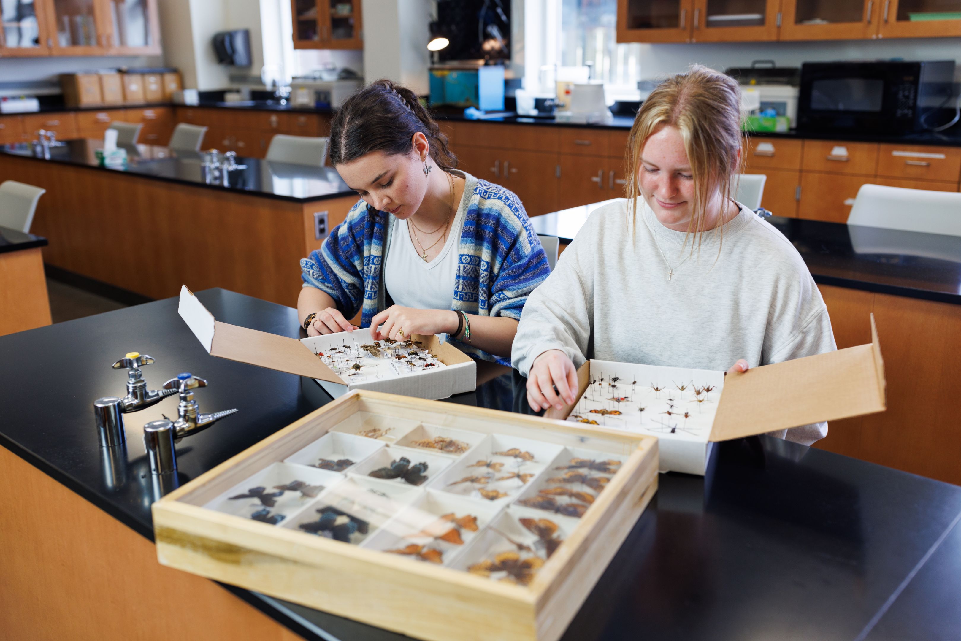 Liberty Doctoral Health Sciences Degrees