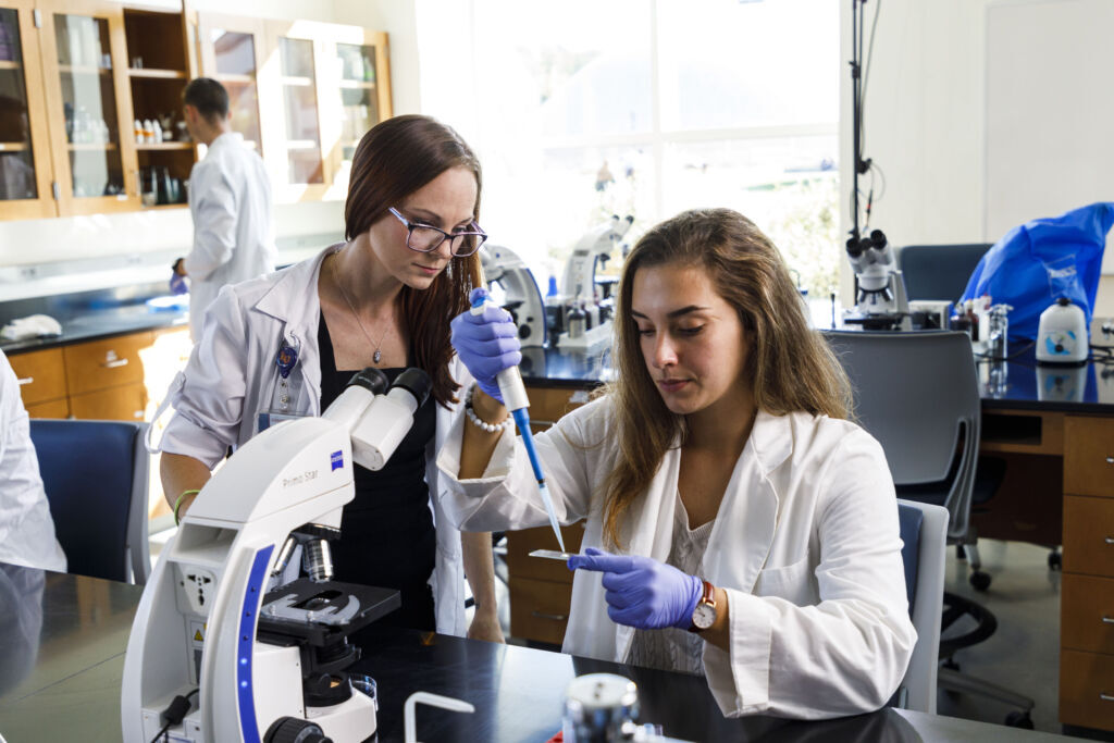 PhD In Cell Biology And Anatomy