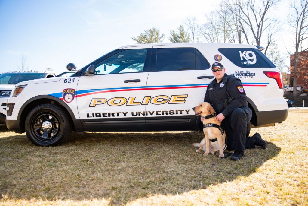 Bachelor's Degree In Criminal Justice